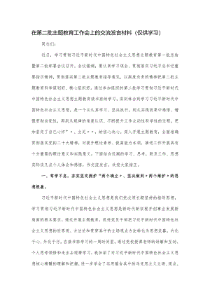 在第二批主题教育工作会上的交流发言材料.docx