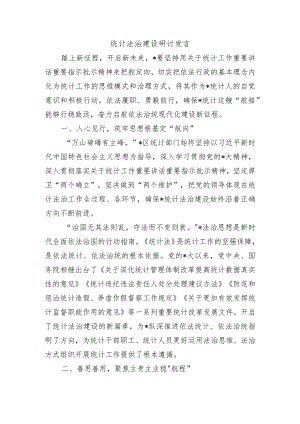 统计法治建设研讨发言.docx