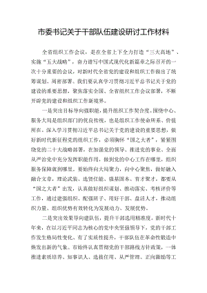 市委书记关于干部队伍建设研讨工作材料.docx
