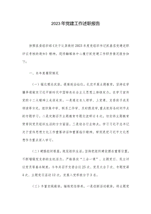 2023年党建工作述职报告.docx