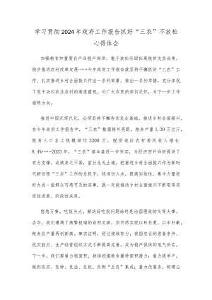 学习贯彻2024年政府工作报告抓好“三农”不放松心得体会.docx