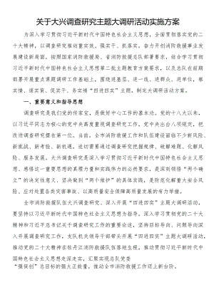 关于大兴调查研究主题大调研活动实施方案.docx