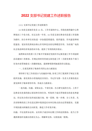 2022支部书记党建工作述职报告.docx