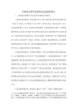 妇联党支部书记抓基层党建述职报告.docx