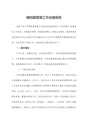 镇档案管理工作自查报告.docx