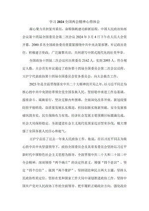 2024学习全国两会精神心得体会一.docx
