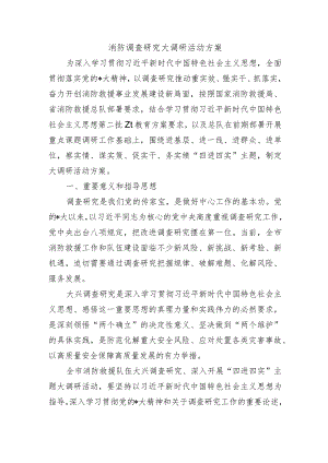消防调查研究大调研活动方案.docx