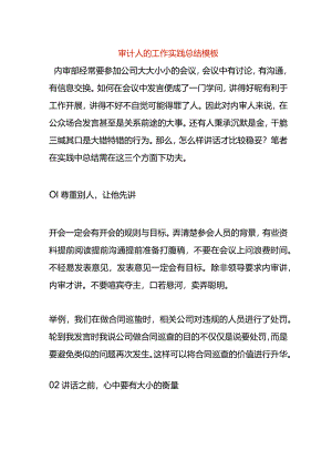 审计人的工作实践总结模板.docx