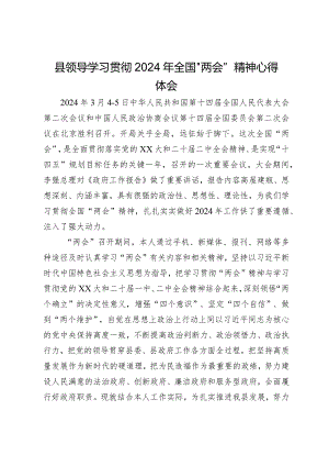 县领导学习贯彻2024年全国“两会”精神心得体会.docx