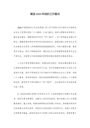 集团2024年组织工作要点.docx