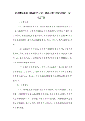 经济体制小组（县政府办公室）改革工作经验交流发言.docx