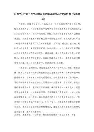 区委书记在第二批主题教育集体学习会的研讨发言提纲.docx