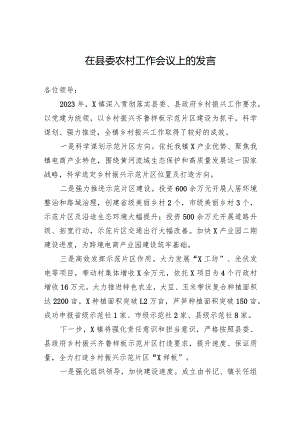 在县委农村工作会议上的发言.docx