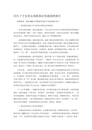 区红十字会党支部抓基层党建述职报告.docx