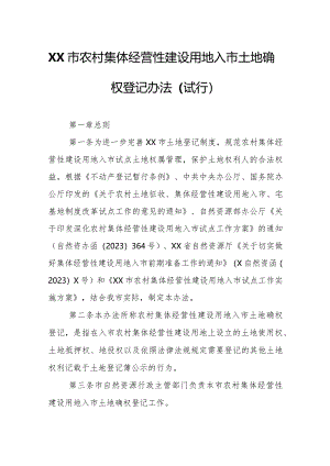 XX市农村集体经营性建设用地入市土地确权登记办法.docx