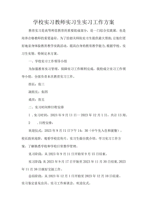 学校实习教师实习生实习工作方案.docx