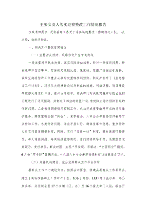 主要负责人落实巡察整改工作情况报告.docx