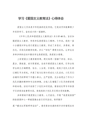 学习中华人民共和国爱国主义教育法心得体会8篇.docx