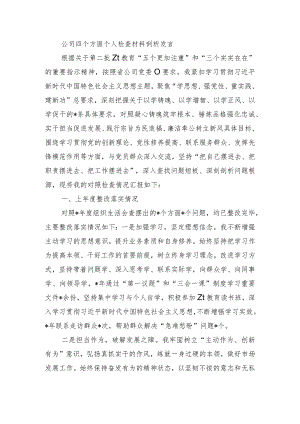 公司四个方面个人检查材料剖析发言.docx