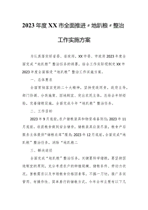 2023年度XX市全面推进“地趴粮”整治工作实施方案.docx