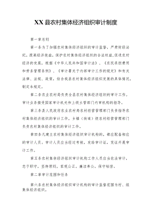 XX县农村集体经济组织审计制度.docx
