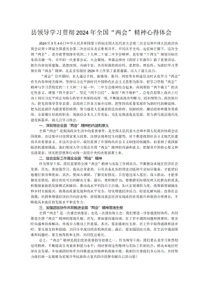 县领导学习贯彻2024年全国“两会”精神心得体会.docx