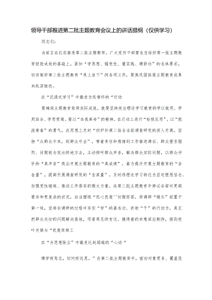 领导干部推进第二批主题教育会议上的讲话提纲.docx