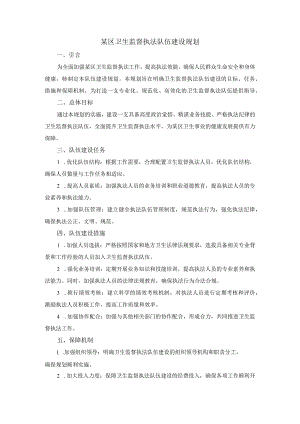 某区卫生监督执法队伍建设规划.docx