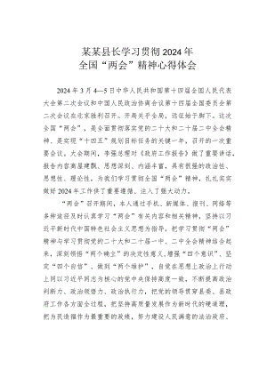 某某县长学习贯彻2024年全国“两会”精神心得体会.docx