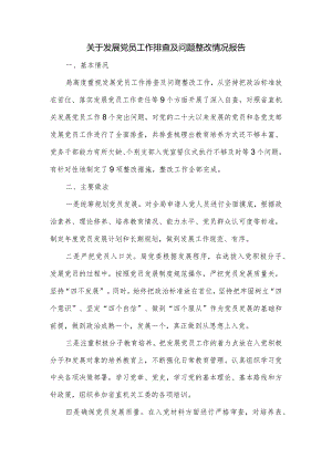 关于发展党员工作排查及问题整改情况报告.docx