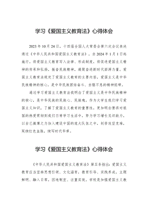 学习《爱国主义教育法》心得体会精品范文8篇.docx