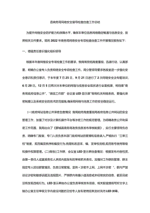务局网络安全督导检查自查工作总结.docx