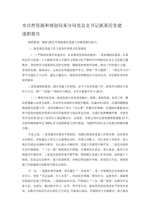 市自然资源和规划局某分局党总支书记抓基层党建述职报告.docx