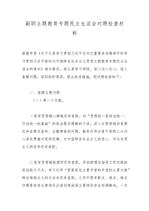 副职主题教育专题民主生活会对照检查材料.docx