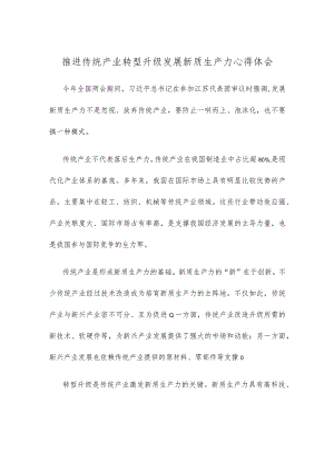 推进传统产业转型升级发展新质生产力心得体会.docx