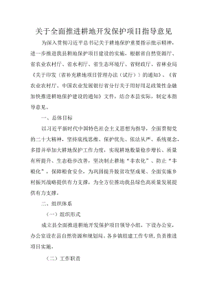 关于全面推进耕地开发保护项目指导意见.docx