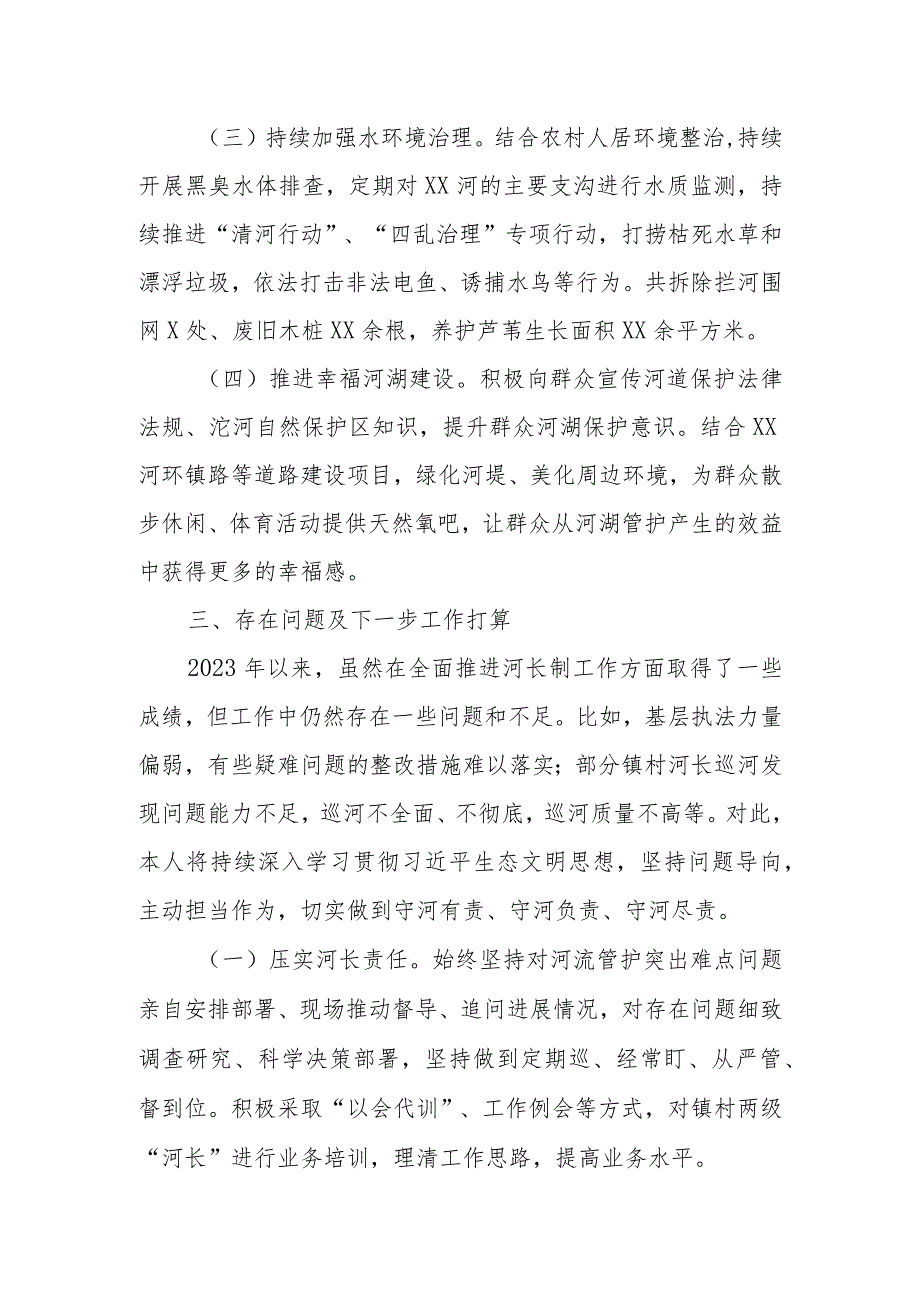 XX河河长述职报告.docx_第2页