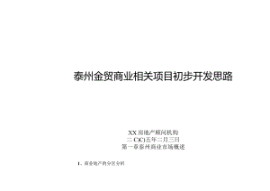 某商业项目初步开发思路.docx