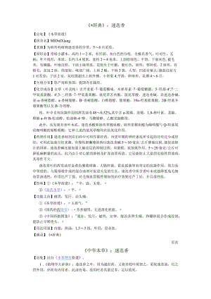 《辞典》迷迭香.docx