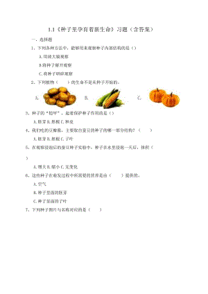 1-1 种子里孕育着新生命（习题）四年级下册科学 教科版.docx