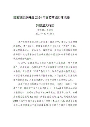 政务信息：xx镇组织开展2024年春节前城乡环境提升整治大行动.docx