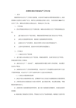 水务局2024年安全生产工作计划.docx