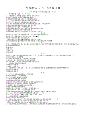 阶段测试01 七年级上册.docx