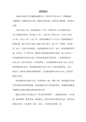 商业地产总介绍.docx