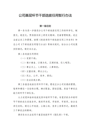 公司基层环节干部选拔任用暂行办法.docx