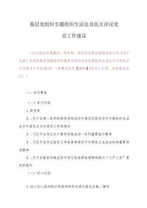 20140811组织生活会及党员民主评议活动建议 .docx