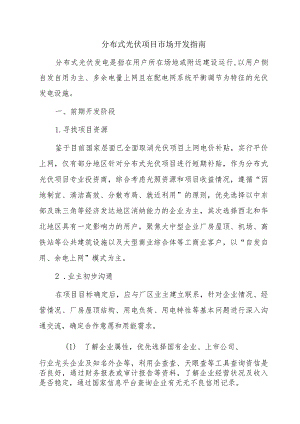 分布式光伏项目市场开发指南.docx