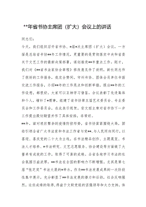 2023年省书协主席团（扩大）会议上的讲话【 】.docx