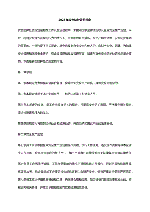 2024年安全防护处罚规定.docx