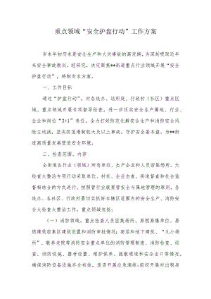重点领域“安全护盘行动”工作方案.docx